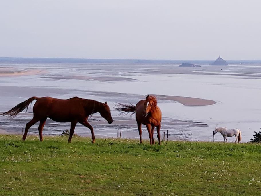 Maison Vue Sur Le Mont Saint Michel Et Sa Baie Champeaux Екстер'єр фото